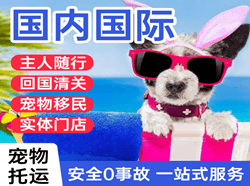 徐州航空快递国际宠物托运 【国